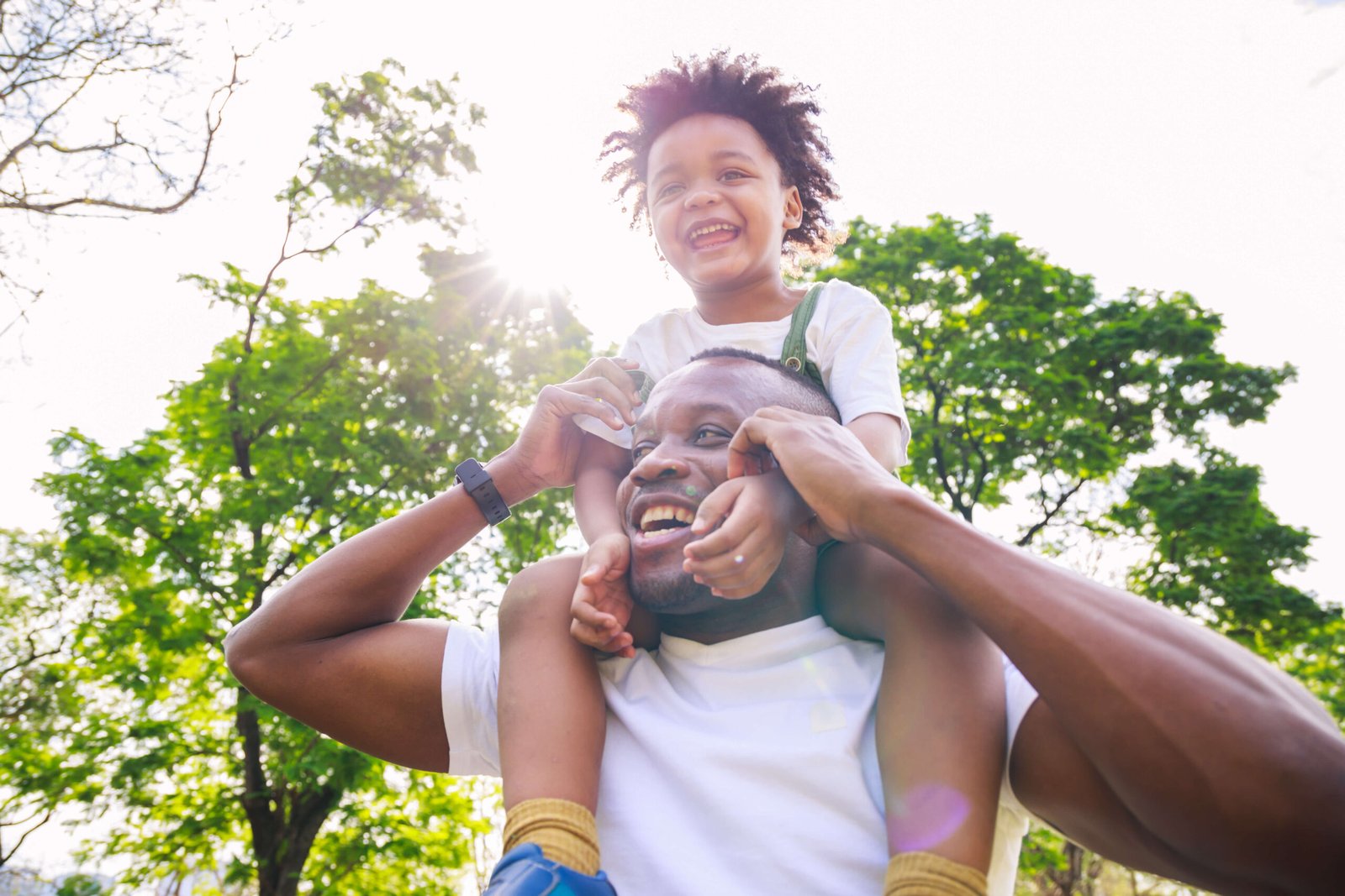 How to File a Paternity Petition in Florida